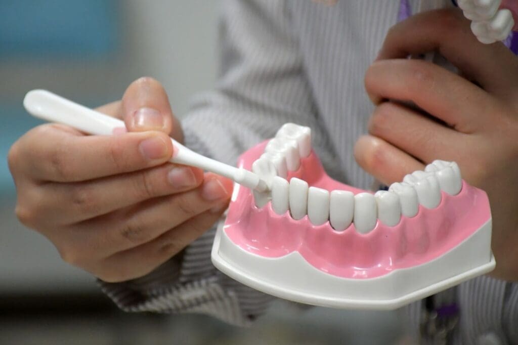 Hands demonstrating proper dental hygiene and brushing technique on a dental model, illustrating the best way to clean teeth and gums.