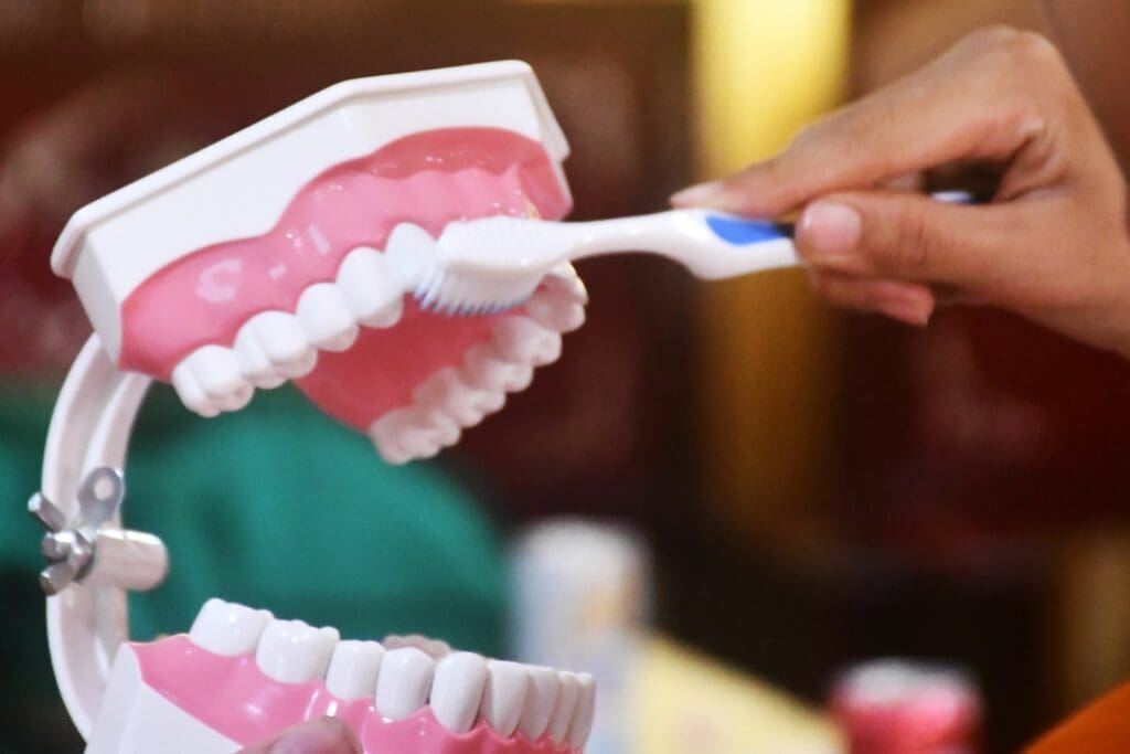 Close-up of a hand holding a toothbrush and demonstrating the proper technique for brushing teeth on a large plastic anatomical dental model with pink gums and white teeth. Used for patient education by a dental professional to teach effective oral hygiene and prevent gum disease.
